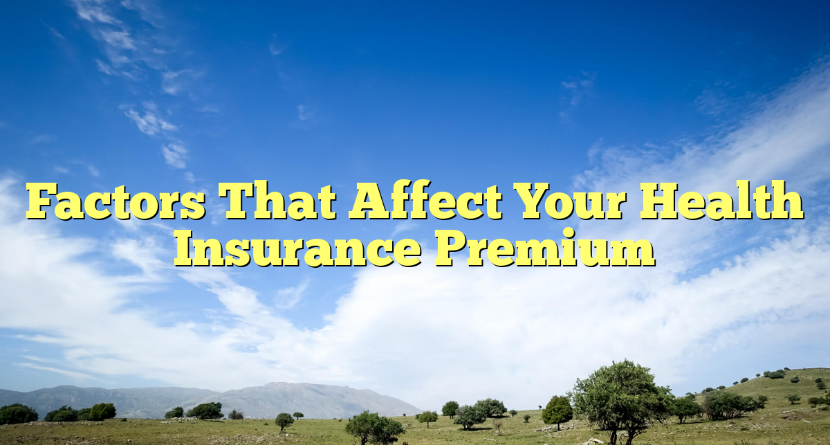 8. What Factors Affect The Cost Of My Insurance Premium?