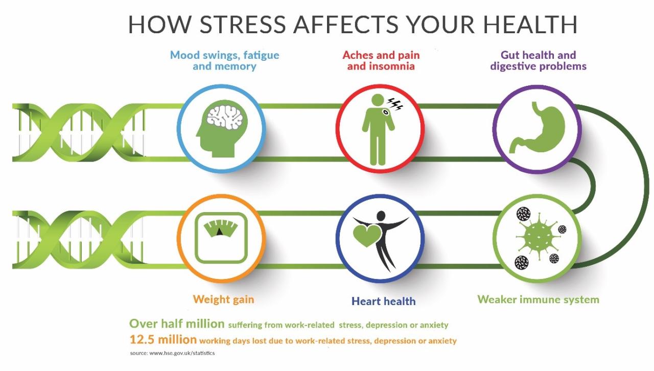 How Stress Affects Physical Health Over Time