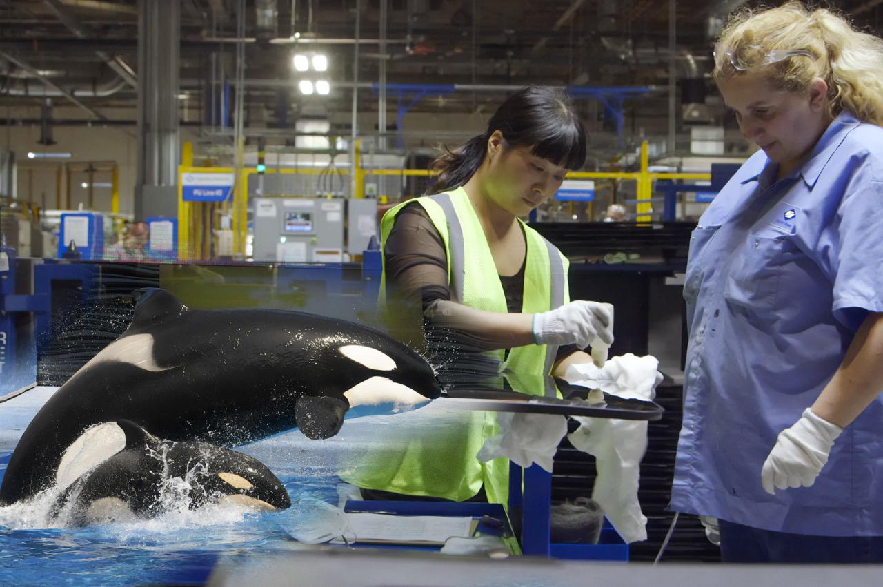 What Streaming Platforms Have The Best Documentaries